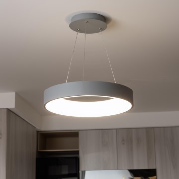 Brilagi - LED prigušiva luster na sajli FALCON LED/80W/230V 3000-6500K prečnik 60 cm siva + daljinski upravljač