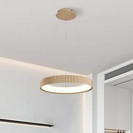 Brilagi - LED prigušiva luster na sajli FALCON MODERN LED/30W/230V 3000-6500K 40 cm bež + daljinski upravljač