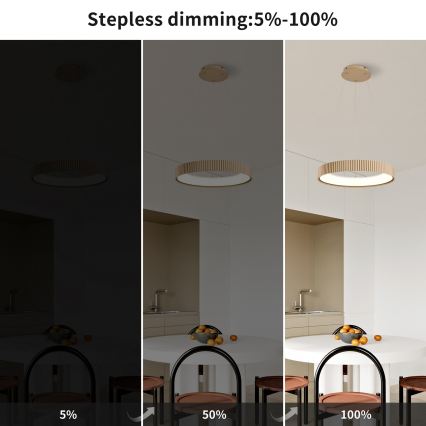 Brilagi - LED prigušiva luster na sajli FALCON MODERN LED/30W/230V 3000-6500K 40 cm bež + daljinski upravljač