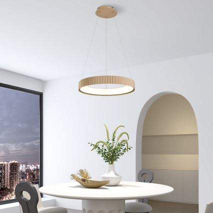 Brilagi - LED prigušiva luster na sajli FALCON MODERN LED/30W/230V 3000-6500K 40 cm bež + daljinski upravljač