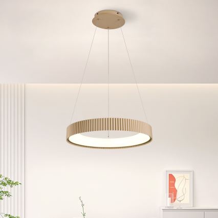 Brilagi - LED prigušiva luster na sajli FALCON MODERN LED/30W/230V 3000-6500K 40 cm bež + daljinski upravljač