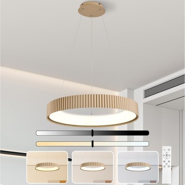 Brilagi - LED prigušiva luster na sajli FALCON MODERN LED/54W/230V 3000-6500K prečnik 60 cm bež + daljinski upravljač