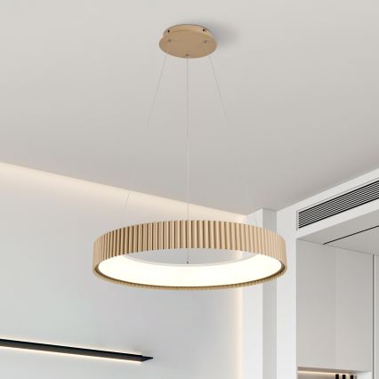 Brilagi - LED prigušiva luster na sajli FALCON MODERN LED/54W/230V 3000-6500K prečnik 60 cm bež + daljinski upravljač