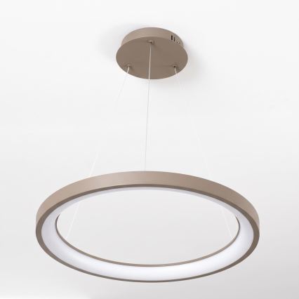 BRILAGI - LED prigušiva luster na sajli FALCON SLIM LED/42W/230V 3000-6500K prečnik 50 cm bež + daljinski upravljač