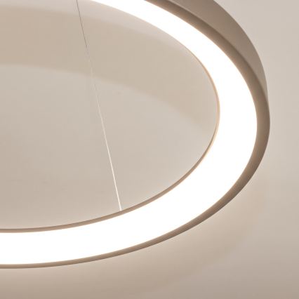 BRILAGI - LED prigušiva luster na sajli FALCON SLIM LED/42W/230V 3000-6500K prečnik 50 cm bež + daljinski upravljač