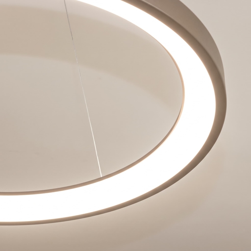 BRILAGI - LED prigušiva luster na sajli FALCON SLIM LED/42W/230V 3000-6500K prečnik 50 cm bež + daljinski upravljač
