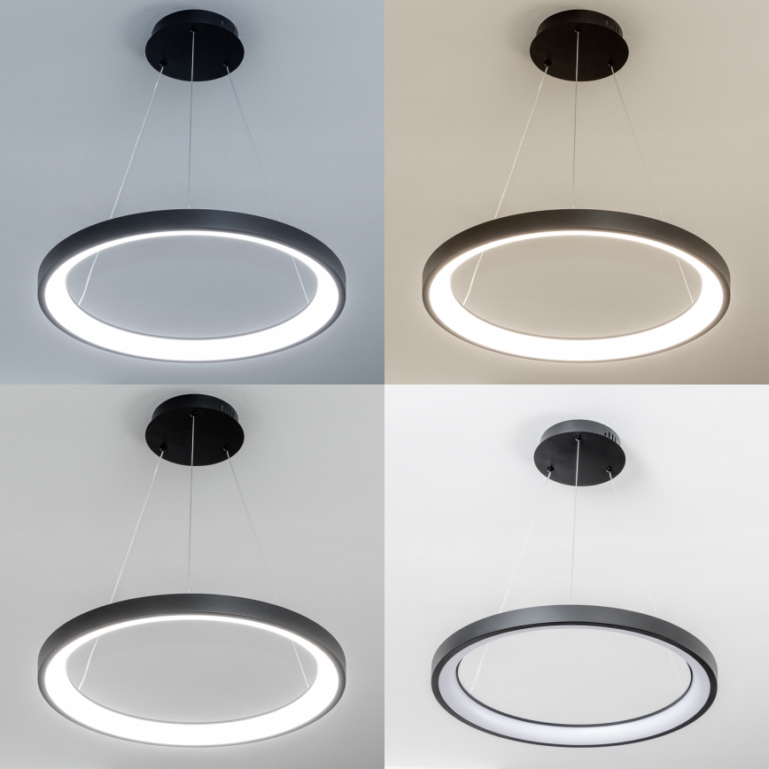 Brilagi - LED prigušiva luster na sajli FALCON SLIM LED/42W/230V 3000-6500K prečnik 50 cm crna + daljinski upravljač