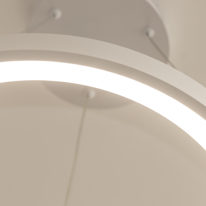Brilagi - LED prigušiva visilica na sajli FALCON SLIM LED/42W/230V 3000-6500K prečnik 50 cm bela + daljinski upravljač