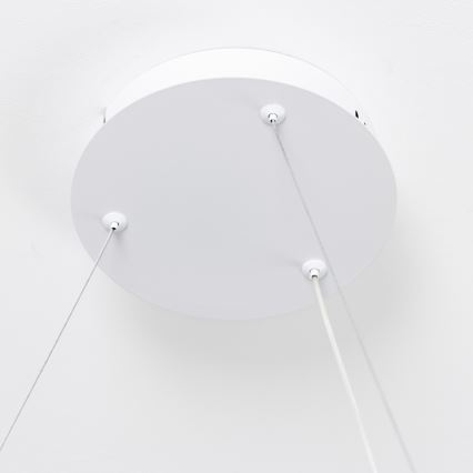 Brilagi - LED prigušiva visilica na sajli FALCON SLIM LED/42W/230V 3000-6500K prečnik 50 cm bela + daljinski upravljač