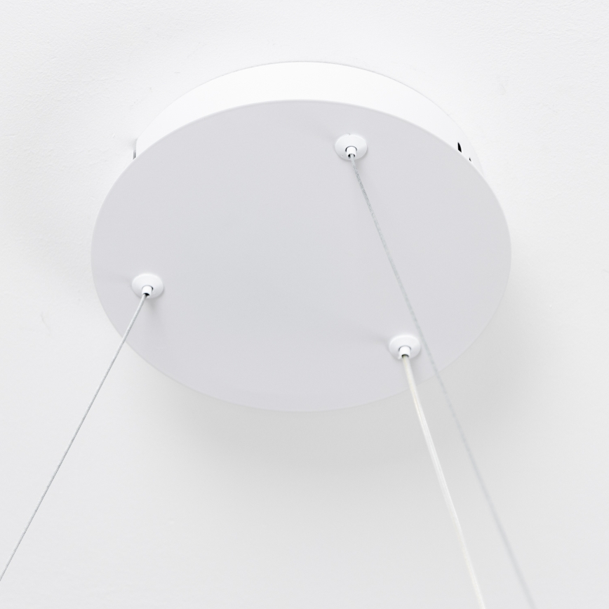 Brilagi - LED prigušiva visilica na sajli FALCON SLIM LED/42W/230V 3000-6500K prečnik 50 cm bela + daljinski upravljač