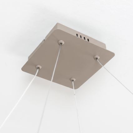 BRILAGI - LED prigušiva luster na sajli FALCON SLIM LED/50W/230V 3000-6500K 50x50 cm bež + daljinski upravljač
