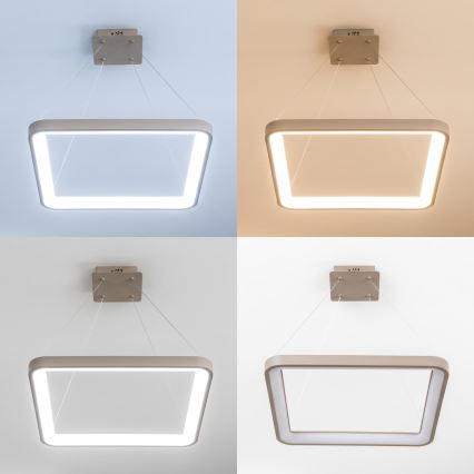 BRILAGI - LED prigušiva luster na sajli FALCON SLIM LED/50W/230V 3000-6500K 50x50 cm bež + daljinski upravljač