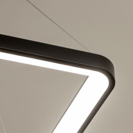 Brilagi - LED prigušiva luster na sajli FALCON SLIM LED/50W/230V 3000-6500K 50x50 cm crna + daljinski upravljač