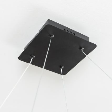 Brilagi - LED prigušiva luster na sajli FALCON SLIM LED/50W/230V 3000-6500K 50x50 cm crna + daljinski upravljač