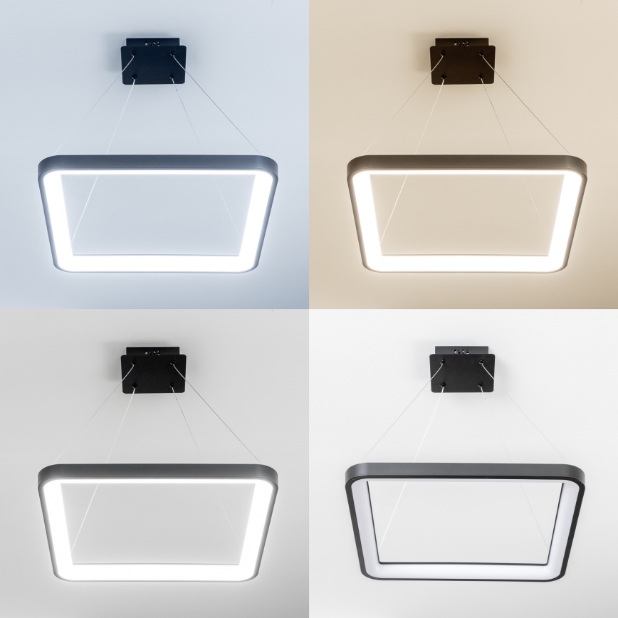 Brilagi - LED prigušiva luster na sajli FALCON SLIM LED/50W/230V 3000-6500K 50x50 cm crna + daljinski upravljač