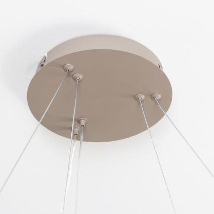 BRILAGI - LED prigušiva luster na sajli FALCON SLIM LED/68W/230V 3000-6500K pr. 50 cm bež + daljinski upravljač