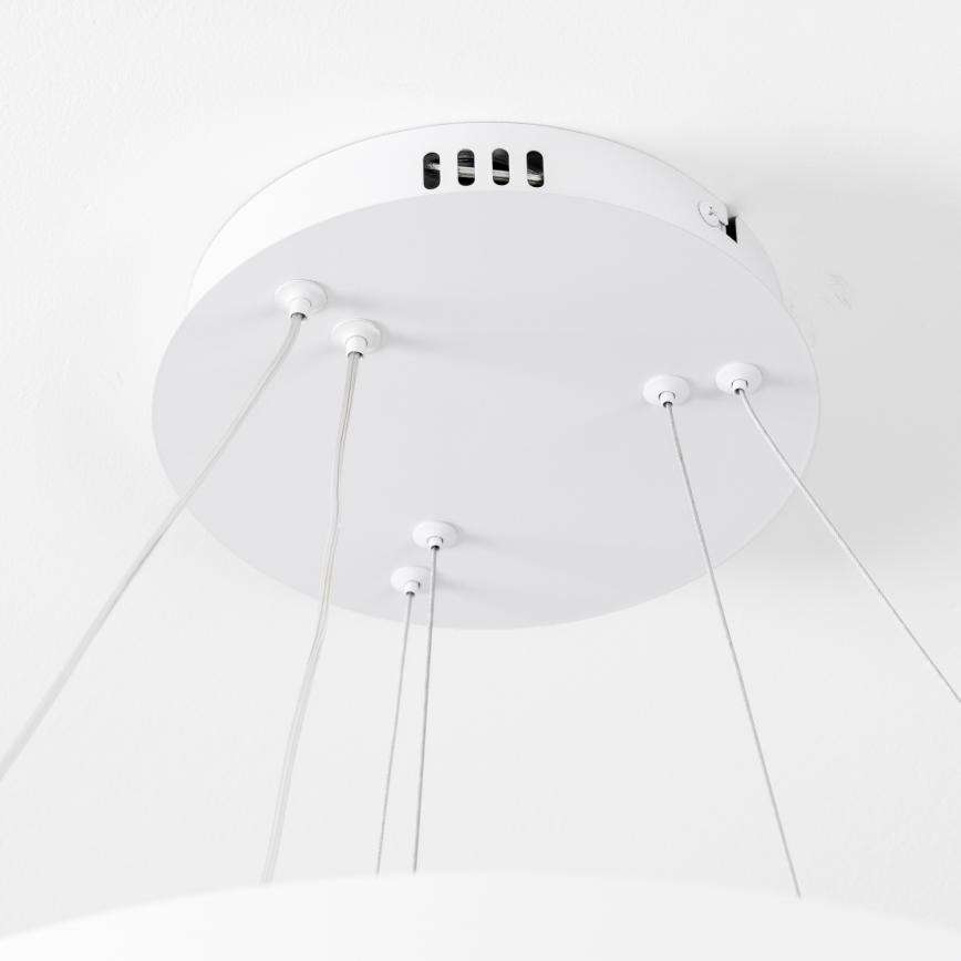 Brilagi - LED prigušiva viseći luster na sajli FALCON SLIM LED/68W/230V 3000-6500K prečnik 50 cm bela + daljinski upravljač