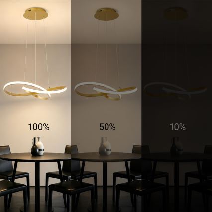 Brilagi - LED prigušiva luster na sajli INFINITY LED/55W/230V 3000-6000K 50x50 cm zlatna + daljinski upravljač
