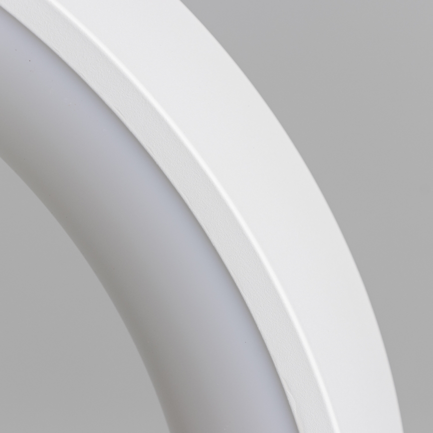 Brilagi - LED prigušiva luster na sajli FALCON LED/40W/230V 3000-6500K Ø 45 cm bela + daljinski upravljač
