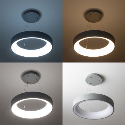 Brilagi - LED prigušiva luster na sajli FALCON LED/40W/230V 3000-6500K preč. 45 cm siva + daljinsko upravljanje