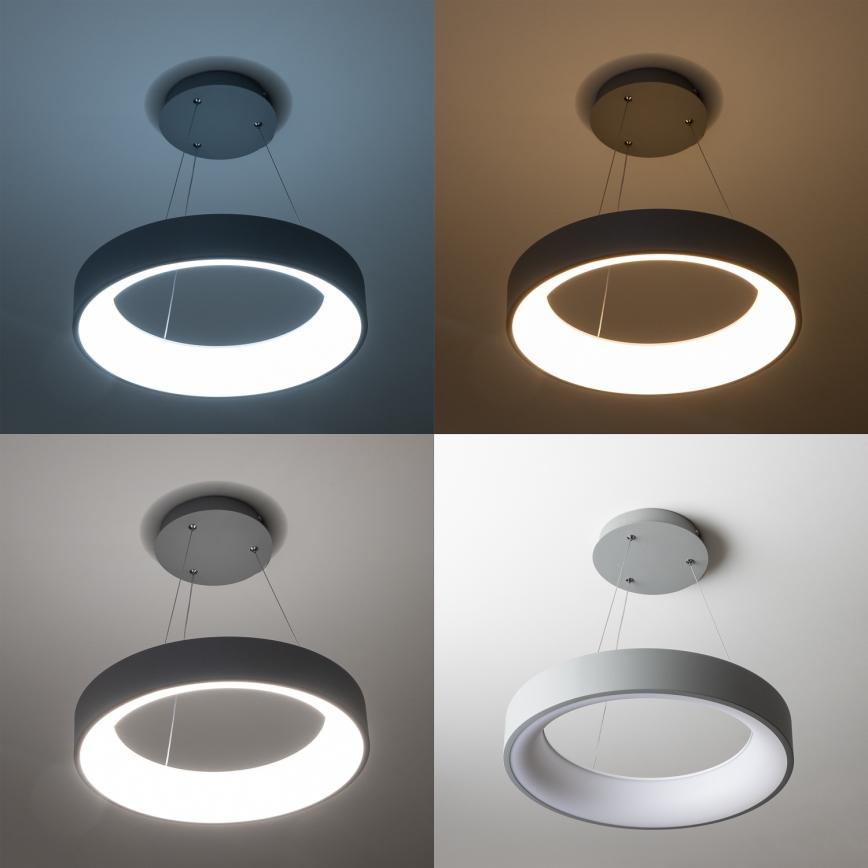 Brilagi - LED prigušiva luster na sajli FALCON LED/40W/230V 3000-6500K preč. 45 cm siva + daljinsko upravljanje