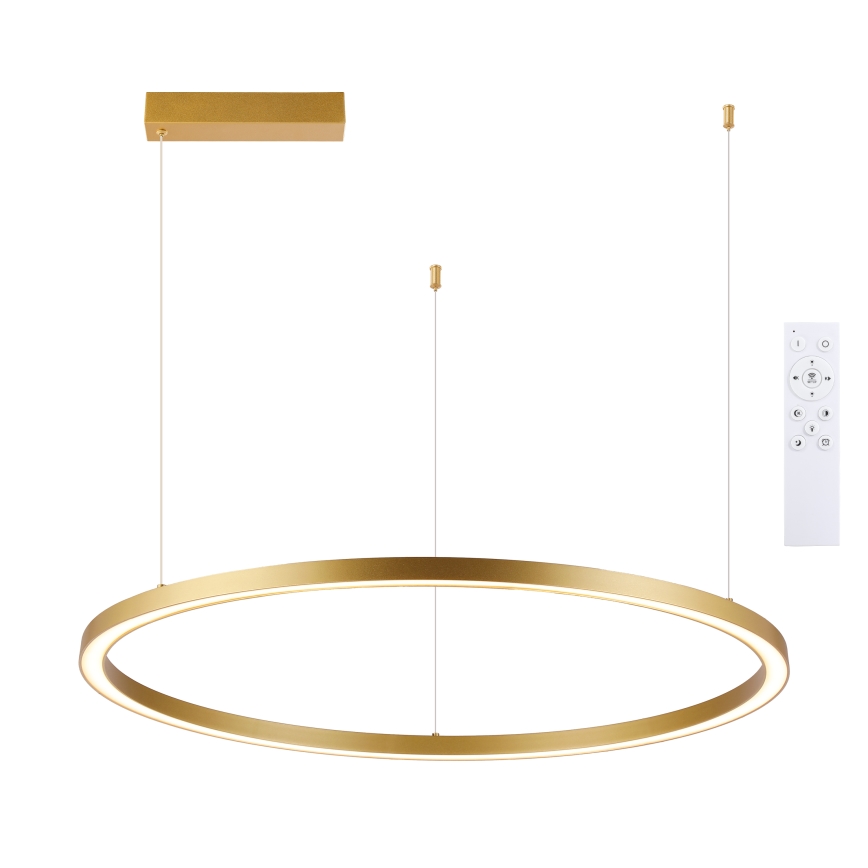 Brilagi - PORTOFINO LED luster na sajli sa prigušiva LED/60W/230V 3000-6000K prečnik 80 cm zlatna + daljinski upravljač