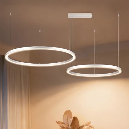 Brilagi - LED prigušiva luster na sajli PORTOFINO LED/98W/230V 3000-6000K srebrna + daljinski upravljač