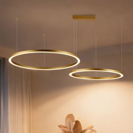 Brilagi - LED prigušiva luster na sajli PORTOFINO LED/98W/230V 3000-6000K zlatna + daljinski upravljač