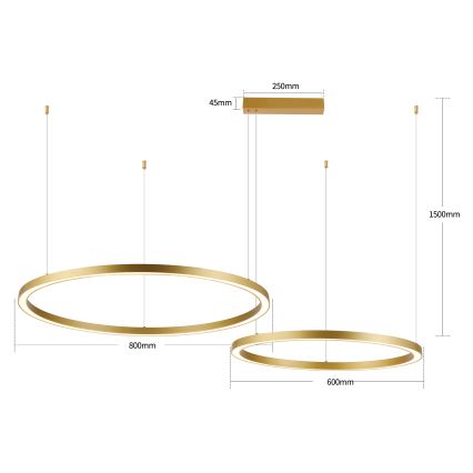 Brilagi - LED prigušiva luster na sajli PORTOFINO LED/98W/230V 3000-6000K zlatna + daljinski upravljač