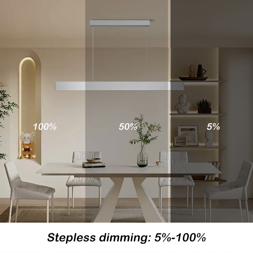 Brilagi - LED prigušiva lustr na sajli SLIMLINE LED/40W/230V 3000-6000K srebrna + daljinski upravljač