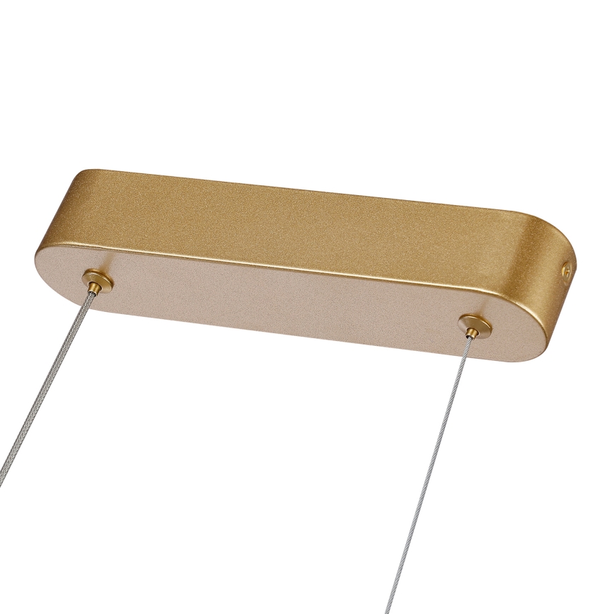 Brilagi - LED prigušiva luster na sajli TWISTER LED/60W/230V 3000-6000K zlatna + daljinski upravljač