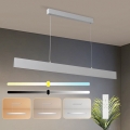 Brilagi - LED prigušiva lustr na sajli SLIMLINE LED/40W/230V 3000-6000K srebrna + daljinski upravljač