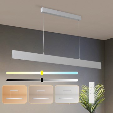 Brilagi - LED prigušiva lustr na sajli SLIMLINE LED/40W/230V 3000-6000K srebrna + daljinski upravljač