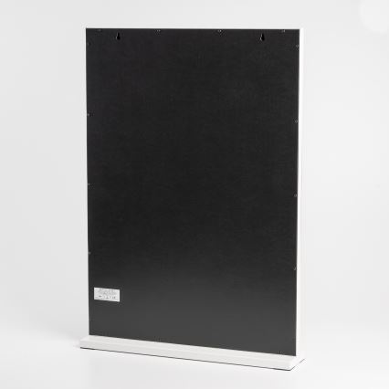 BRILAGI - LED prigušiva ogledalo za šminku HOLLYWOOD LED/15W/230V CCT + 2x USB 55x77 cm belo