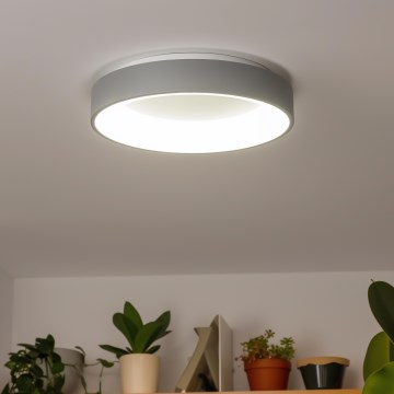 Brilagi - LED prigušiva plafonska lampa FALCON LED/80W/230V 3000-6500K prečnik 60 cm siva + daljinski upravljač