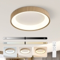Brilagi - LED prigušiva plafonska lampa FALCON MODERN LED/54W/230V 3000-6500K 60 cm bež + daljinski upravljač
