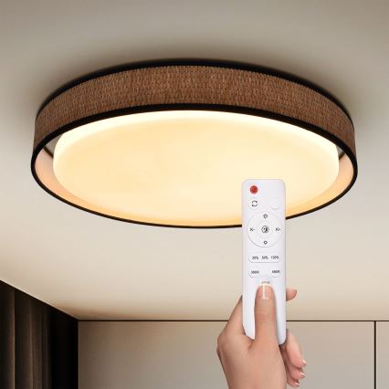 Brilagi - LED prigušiva plafonsko svetlo PILAR LED/48W/230V 3000-6500K pr. 43 cm + daljinski upravljač