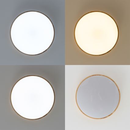 Brilagi - LED prigušiva stropna svetiljka PINE LED/24W/230V drvena pr. 42 cm 3000-6500K + daljinski upravljač