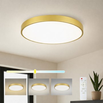 Brilagi - LED prigušiva plafonska lampa POOL LED/60W/230V 3000-6000K prečnik 60 cm zlatna + daljinski upravljač