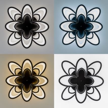 Brilagi - LED prigušiva nadgradni plafonski luster TWIST LED/125W/230V 3000-6500K + daljinski upravljač