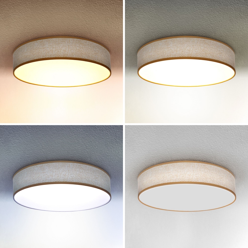 Brilagi - LED plafonsko svetlo CARMEN, prigušiva, LED/48W/230V 3000-6500K pr. 40 cm + daljinski upravljač