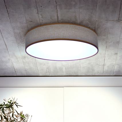 Brilagi - LED plafonsko svetlo CARMEN, prigušiva, LED/48W/230V 3000-6500K pr. 40 cm + daljinski upravljač