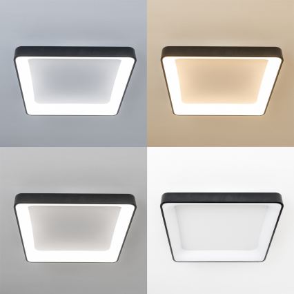 Brilagi - LED prigušiva plafonska svetiljka FALCON II LED/125W/230V 3000-6500K 60x60 cm crna + daljinski upravljač