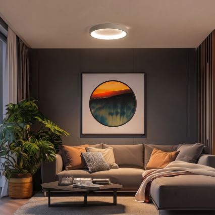 BRILAGI - LED prigušiva plafonska svetiljka FALCON SLIM LED/42W/230V 3000-6500K prečnik 50 cm bež + daljinski upravljač