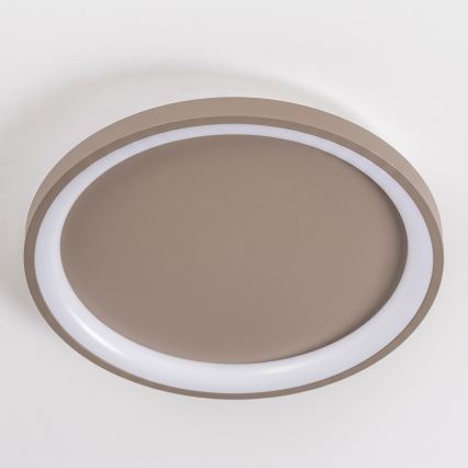 BRILAGI - LED prigušiva plafonska svetiljka FALCON SLIM LED/42W/230V 3000-6500K prečnik 50 cm bež + daljinski upravljač