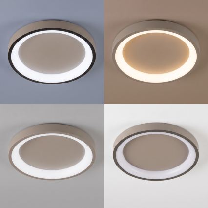 BRILAGI - LED prigušiva plafonska svetiljka FALCON SLIM LED/42W/230V 3000-6500K prečnik 50 cm bež + daljinski upravljač