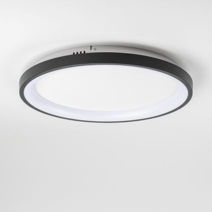 Brilagi - LED prigušiva stropna svetiljka FALCON SLIM LED/42W/230V 3000-6500K prečnik 50 cm crna + daljinski upravljač