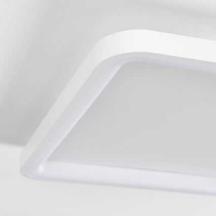 Brilagi - LED plafonsko svetlo FALCON SLIM, prigušiva, LED/50W/230V 3000-6500K 50x50 cm belo + sa daljinskim upravljačem