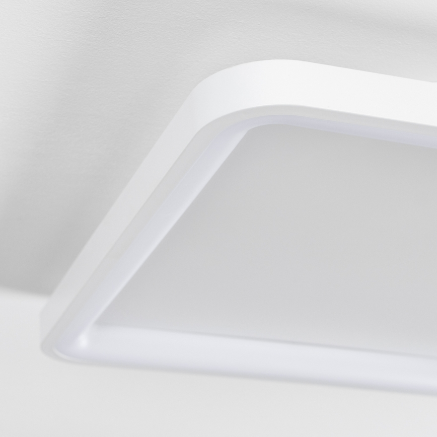 Brilagi - LED plafonsko svetlo FALCON SLIM, prigušiva, LED/50W/230V 3000-6500K 50x50 cm belo + sa daljinskim upravljačem