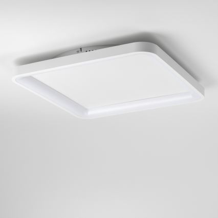 Brilagi - LED plafonsko svetlo FALCON SLIM, prigušiva, LED/50W/230V 3000-6500K 50x50 cm belo + sa daljinskim upravljačem